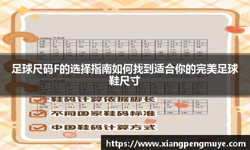足球尺码F的选择指南如何找到适合你的完美足球鞋尺寸