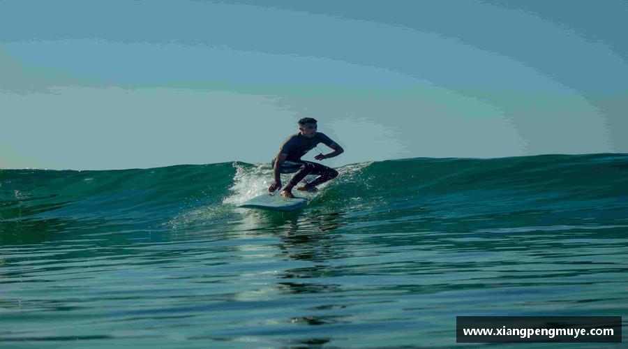 彩神vll你我成长永不止步，闪耀荣耀！